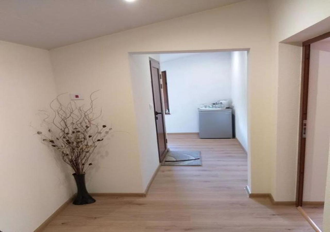 Къща За Гости Демика Saparewa Banja Exterior foto